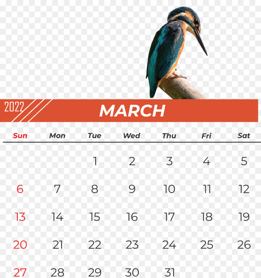 Aves，Calendario PNG