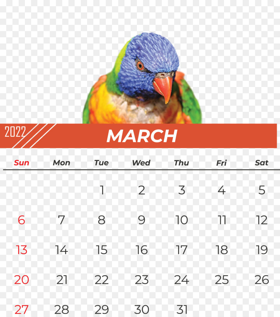 Calendario De Marzo，Mes PNG