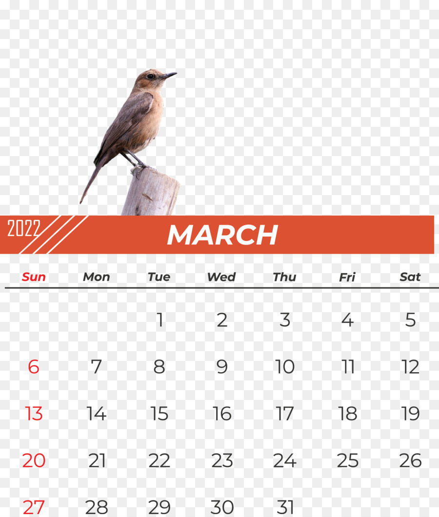 Aves，Calendario PNG
