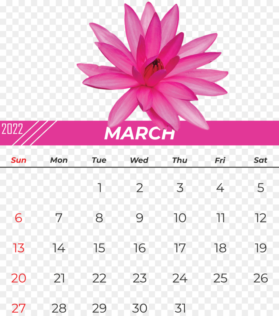 Calendario De Marzo，Fecha PNG