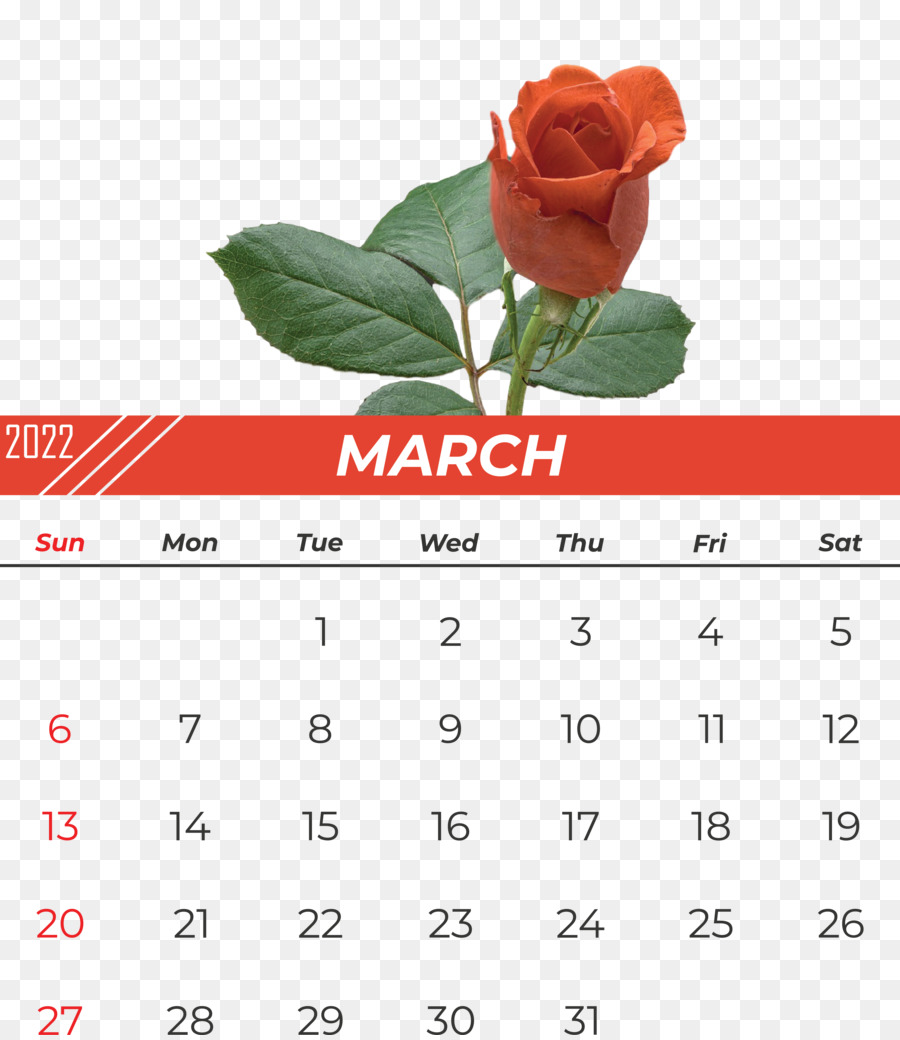 Calendario，Flor PNG