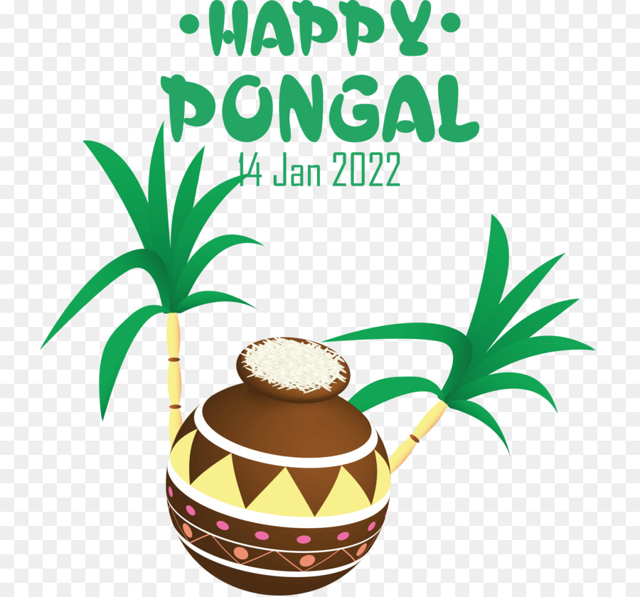 Pongal，Festival PNG