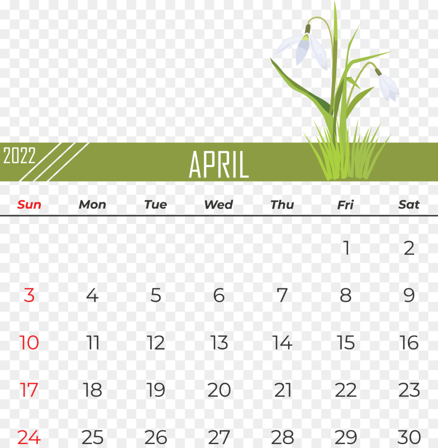 Calendario，Logotipo PNG