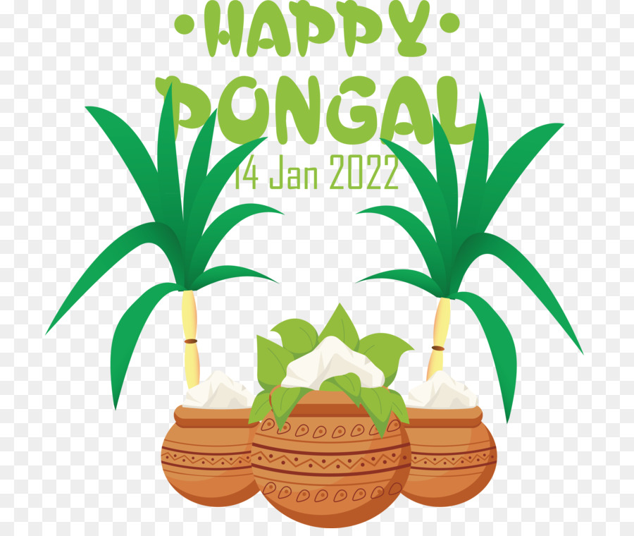 Celebración Pongal，Pongal PNG