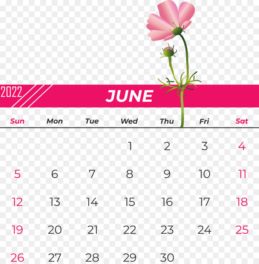 Calendario De Junio，Mes PNG