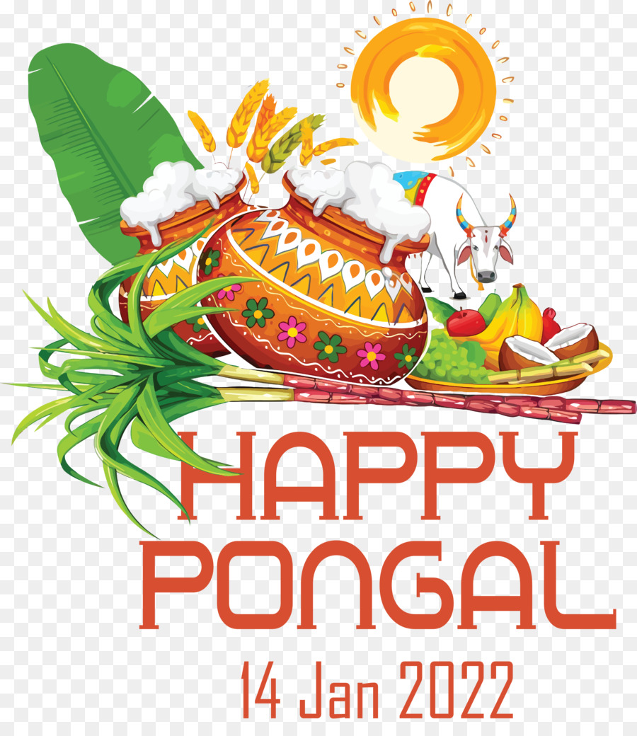 Celebración Pongal，Cosecha PNG