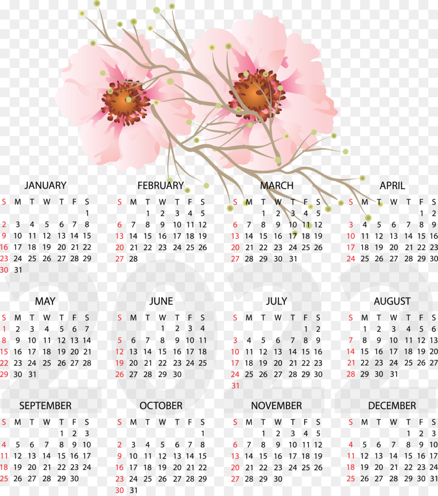 Calendario，Año Calendario PNG