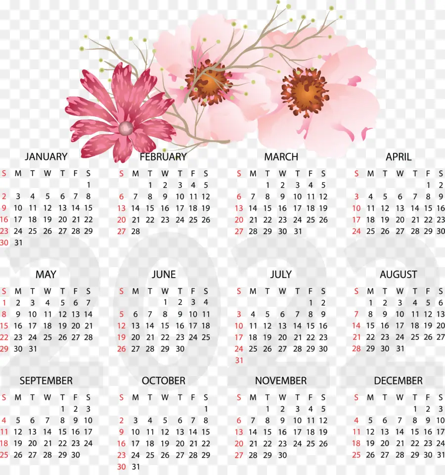 Calendario，Año Calendario PNG