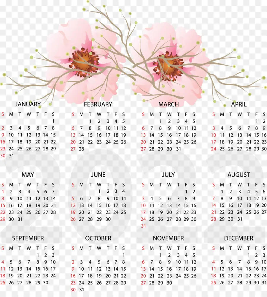 Calendario，Año Calendario PNG