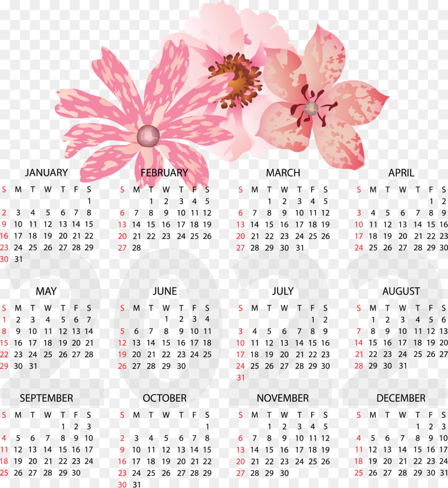 Calendario，Flor PNG