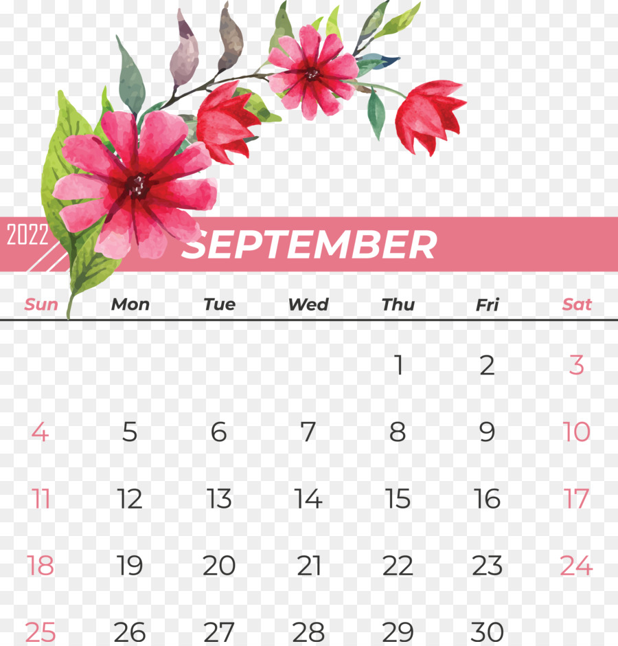 Diseño Floral，Calendario PNG