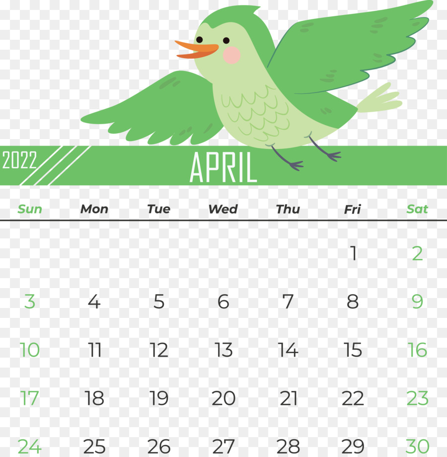 Calendario，Logotipo PNG