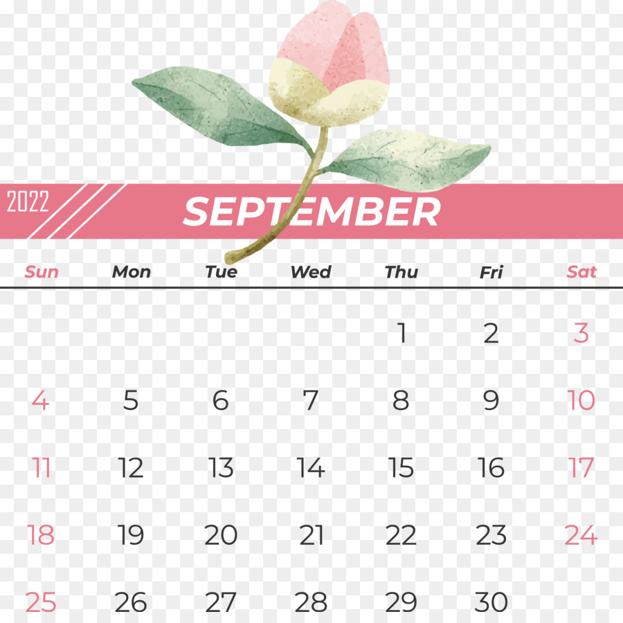 Calendario，Flor PNG