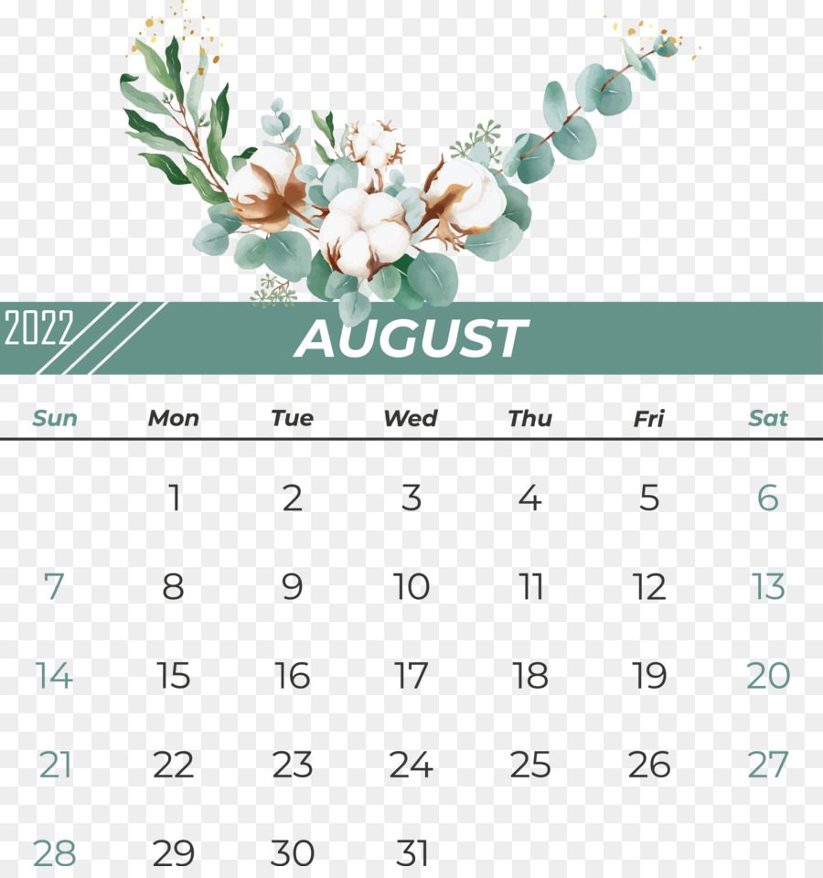 Calendario，Línea PNG