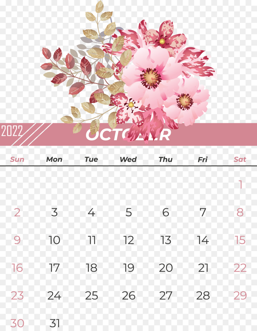 Diseño Floral，Calendario PNG