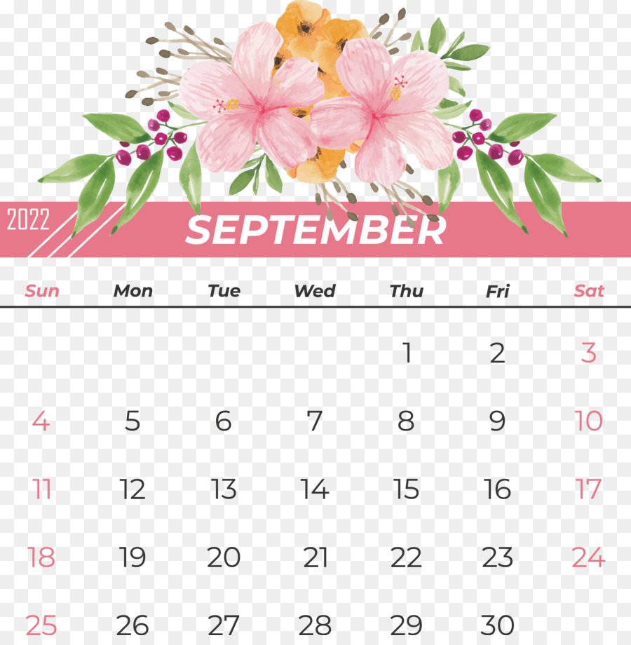 Diseño Floral，Calendario PNG