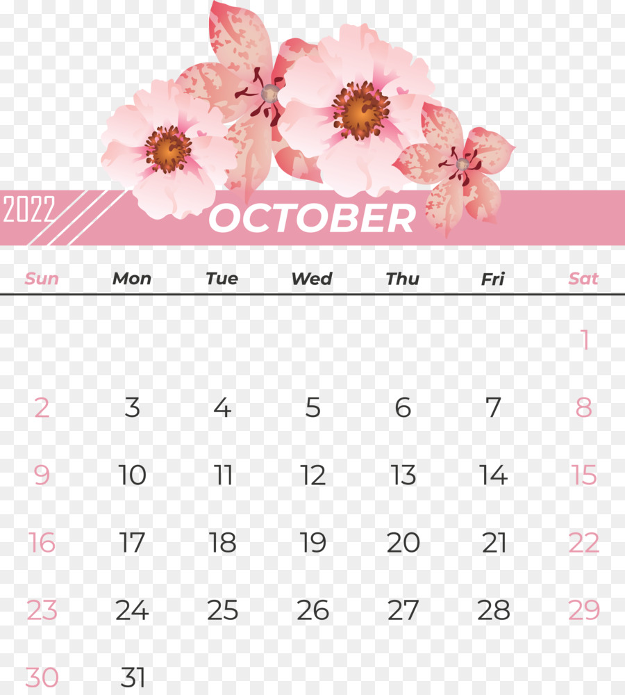 Calendario De Octubre，Mes PNG