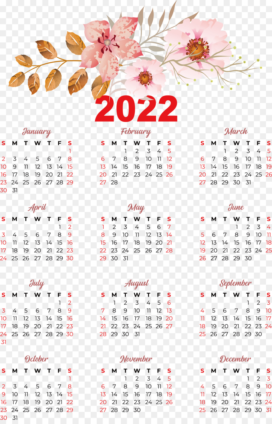 Calendario 2024，Año PNG