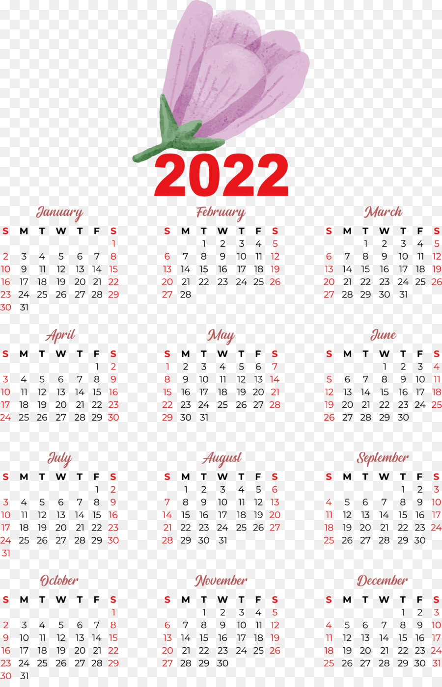 Calendario 2024，Año PNG