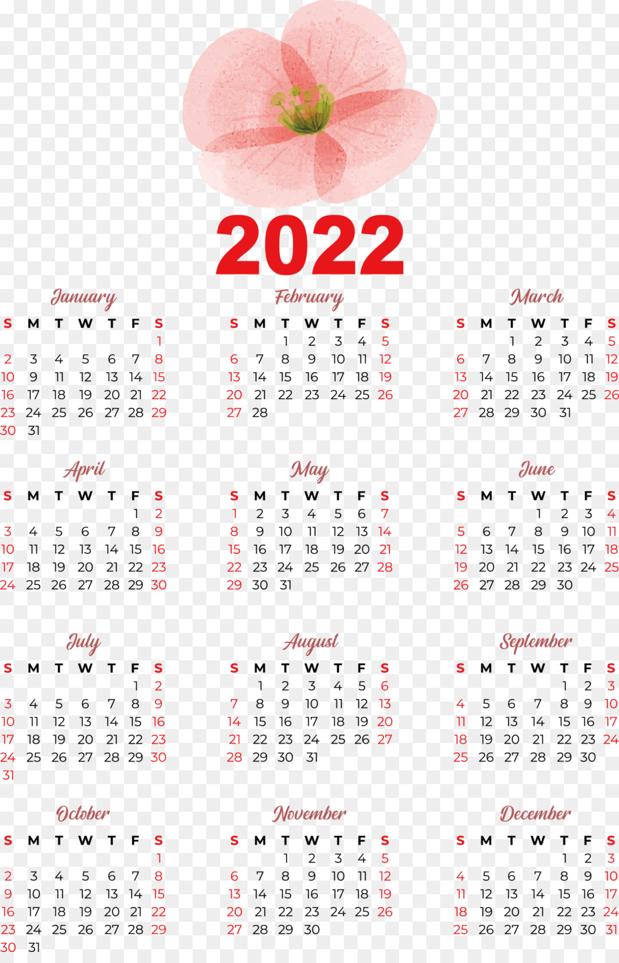 Calendario 2024，Año PNG