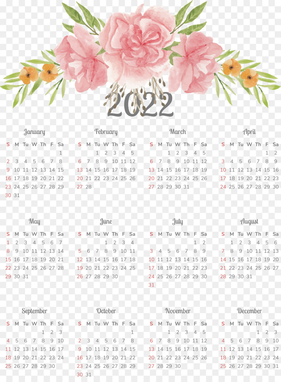 Calendario，Flor PNG