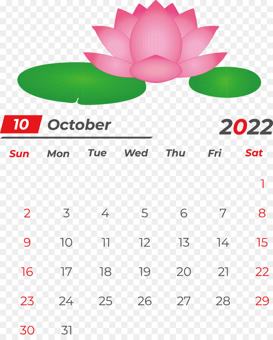 Calendario，Línea PNG