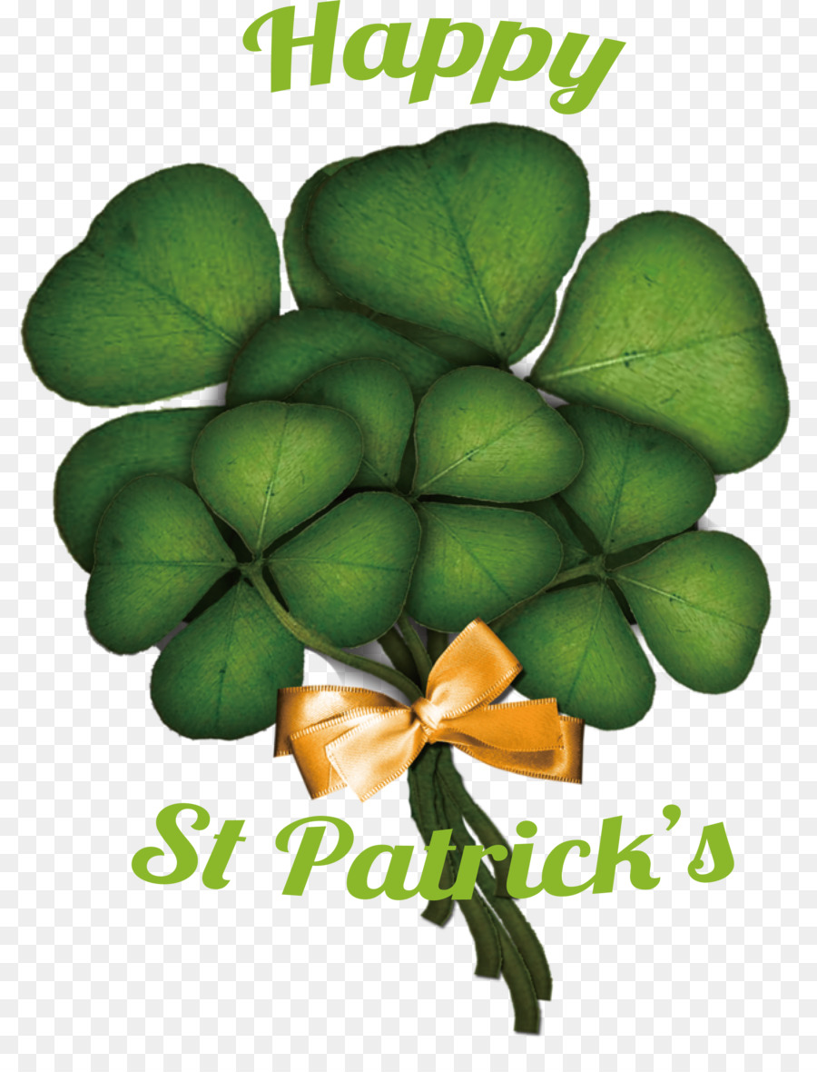 Shamrock，Trébol De Cuatro Hojas PNG