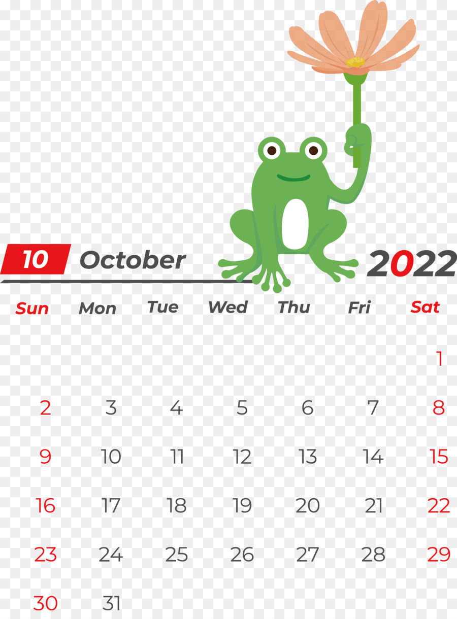 Calendario，Símbolo PNG