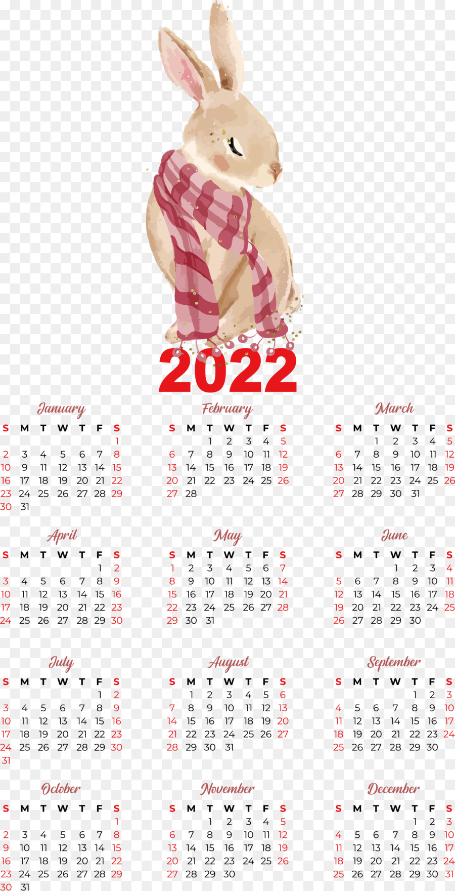 Calendario Del Año 2022，2022 PNG