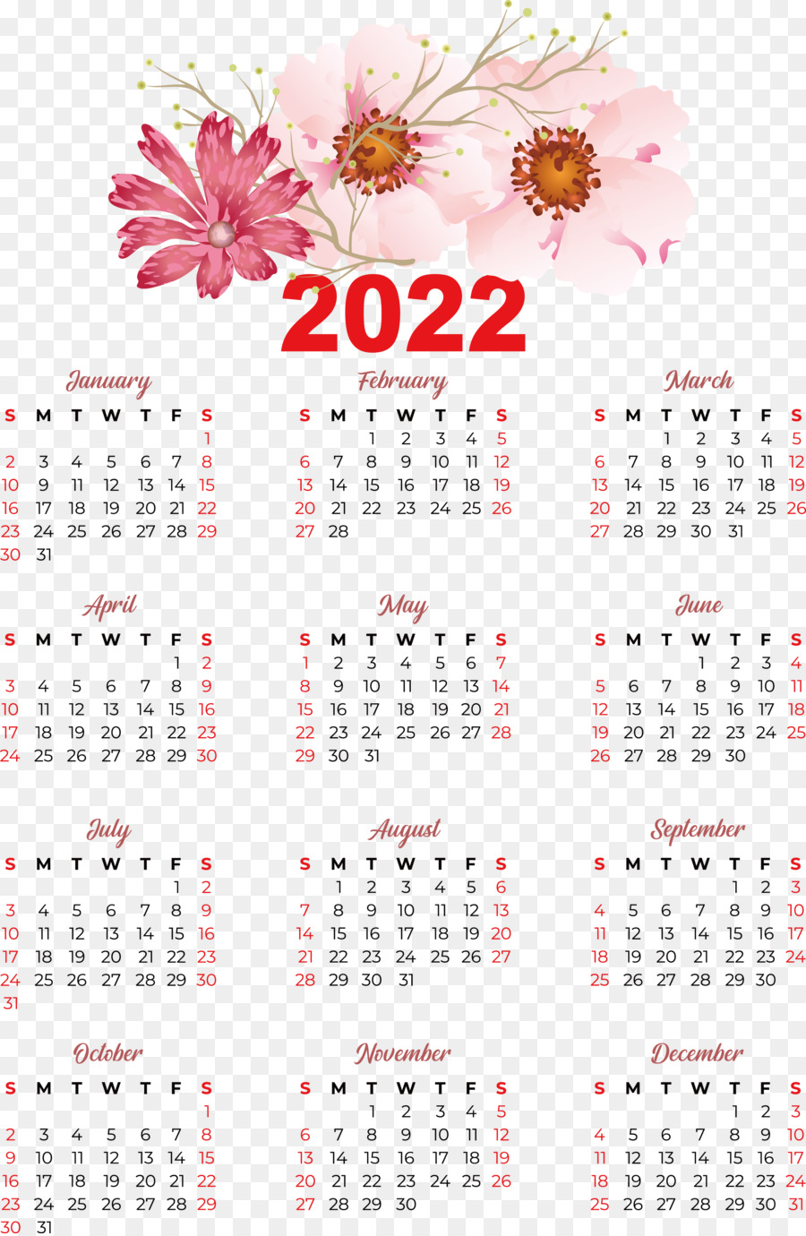 Calendario 2024，Año PNG