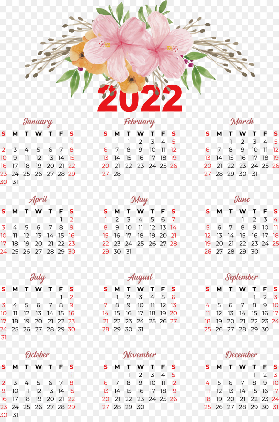 Calendario，Año Calendario PNG
