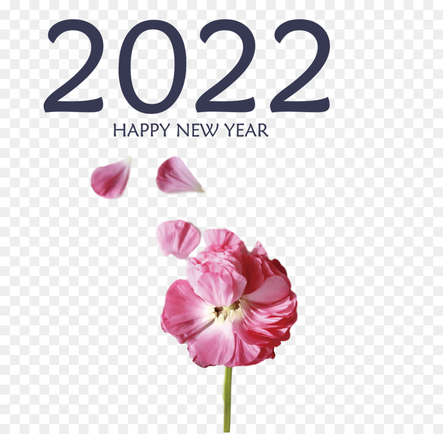 Feliz Año Nuevo 2023，Año Nuevo PNG