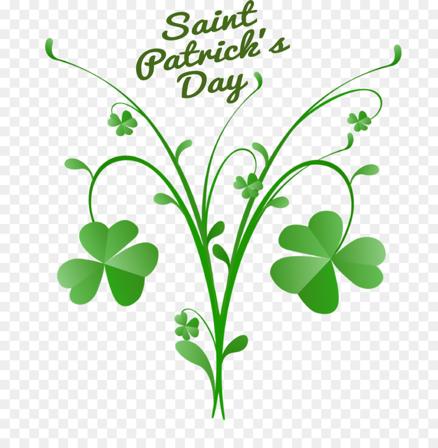 Día De San Patricio，Trébol PNG