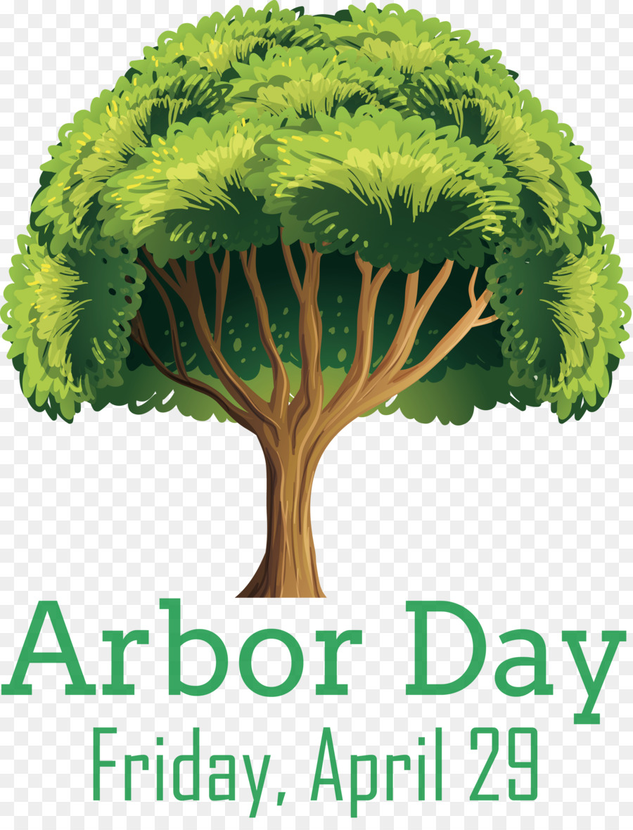 Dia Del Arbol，árbol PNG