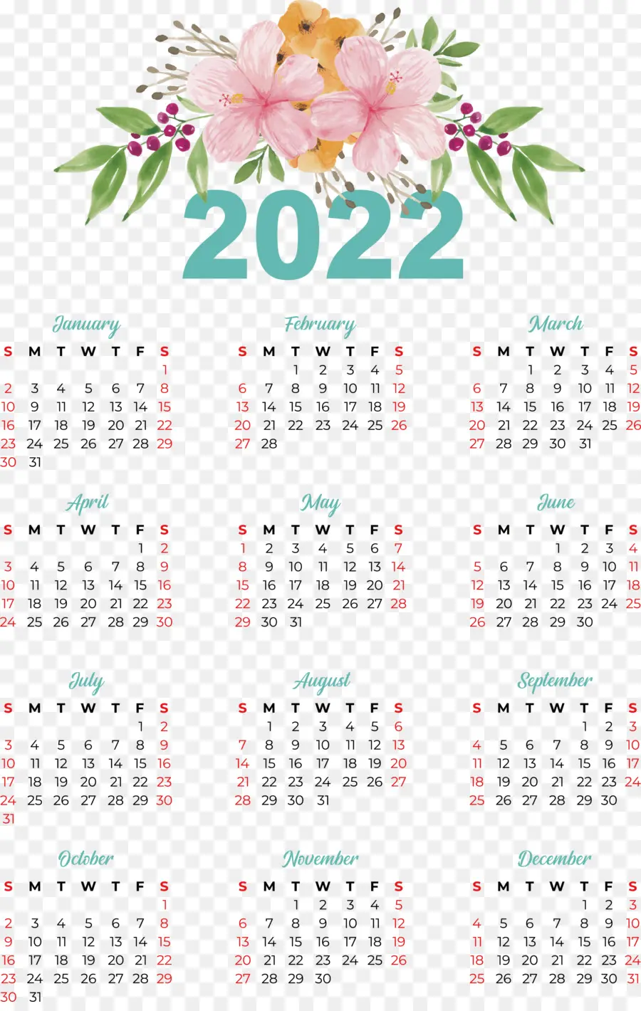 Calendario 2022，Año PNG