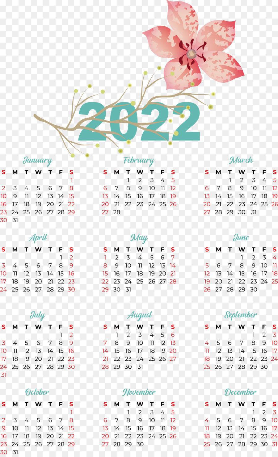 Calendario，Medidor De PNG