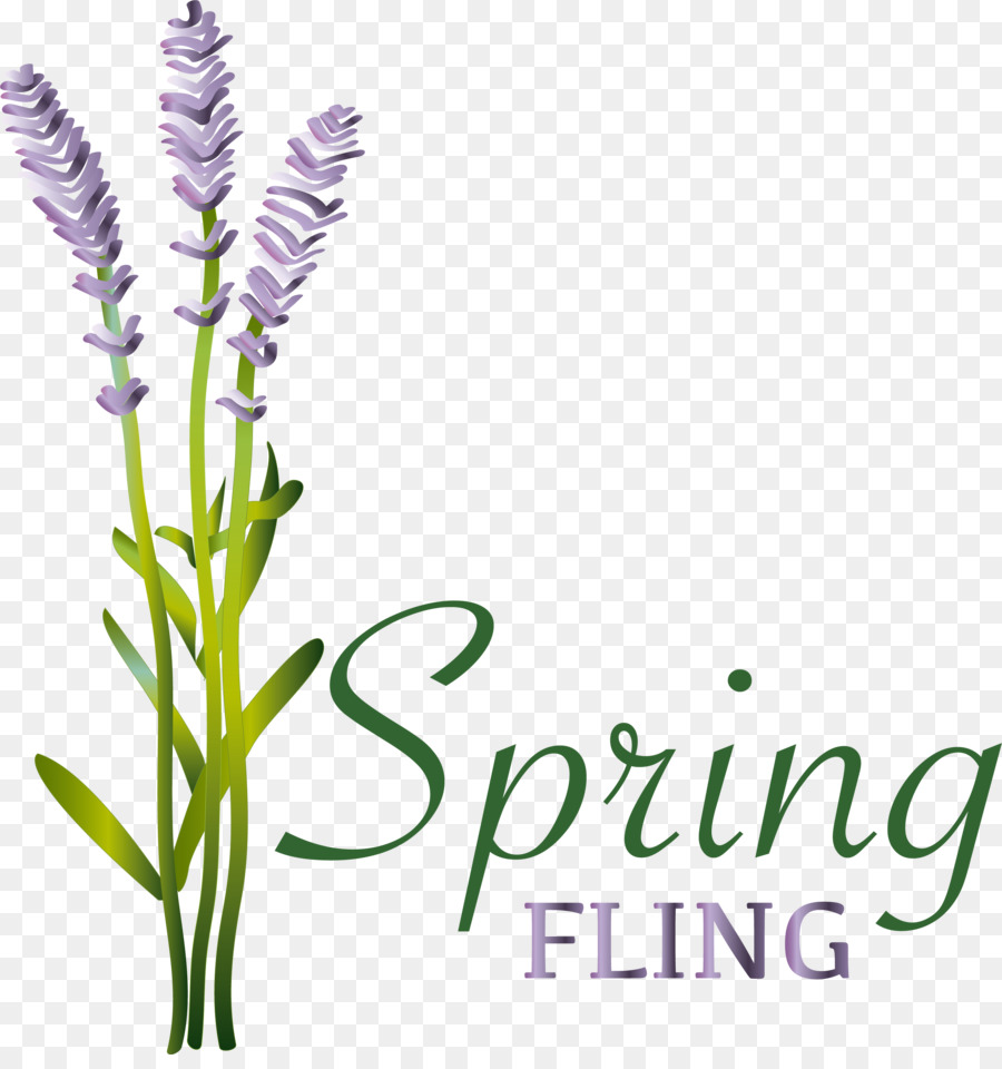 Inglés Lavanda，Flor PNG