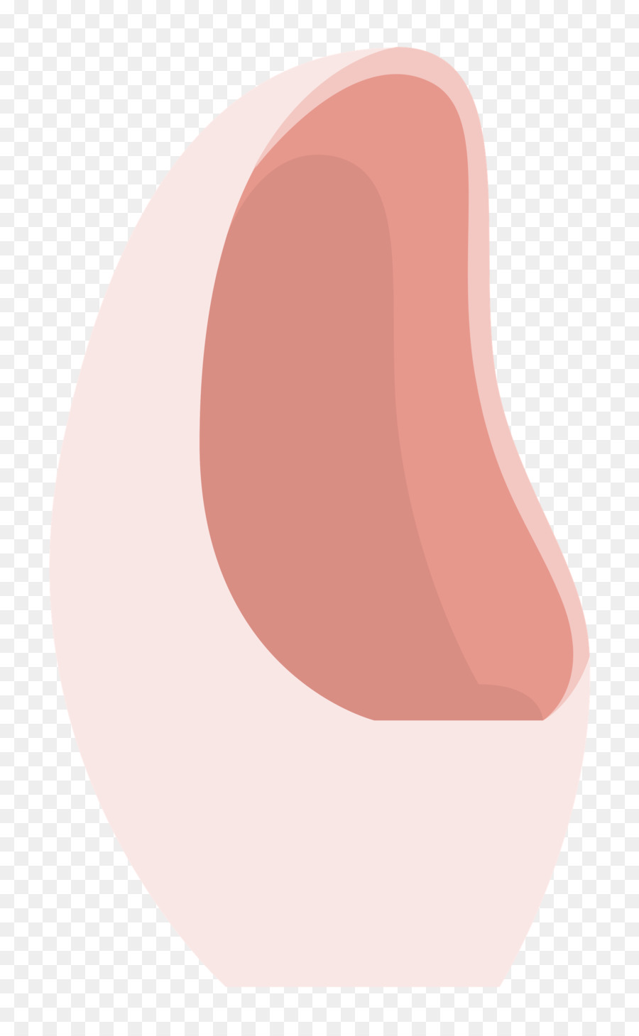 Los Labios，Rosa M PNG