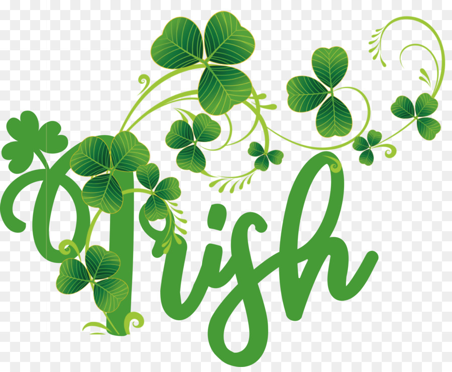 Shamrock，Irlanda PNG