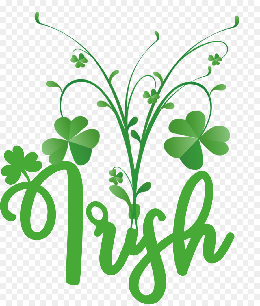 Shamrock，Trébol De Cuatro Hojas PNG