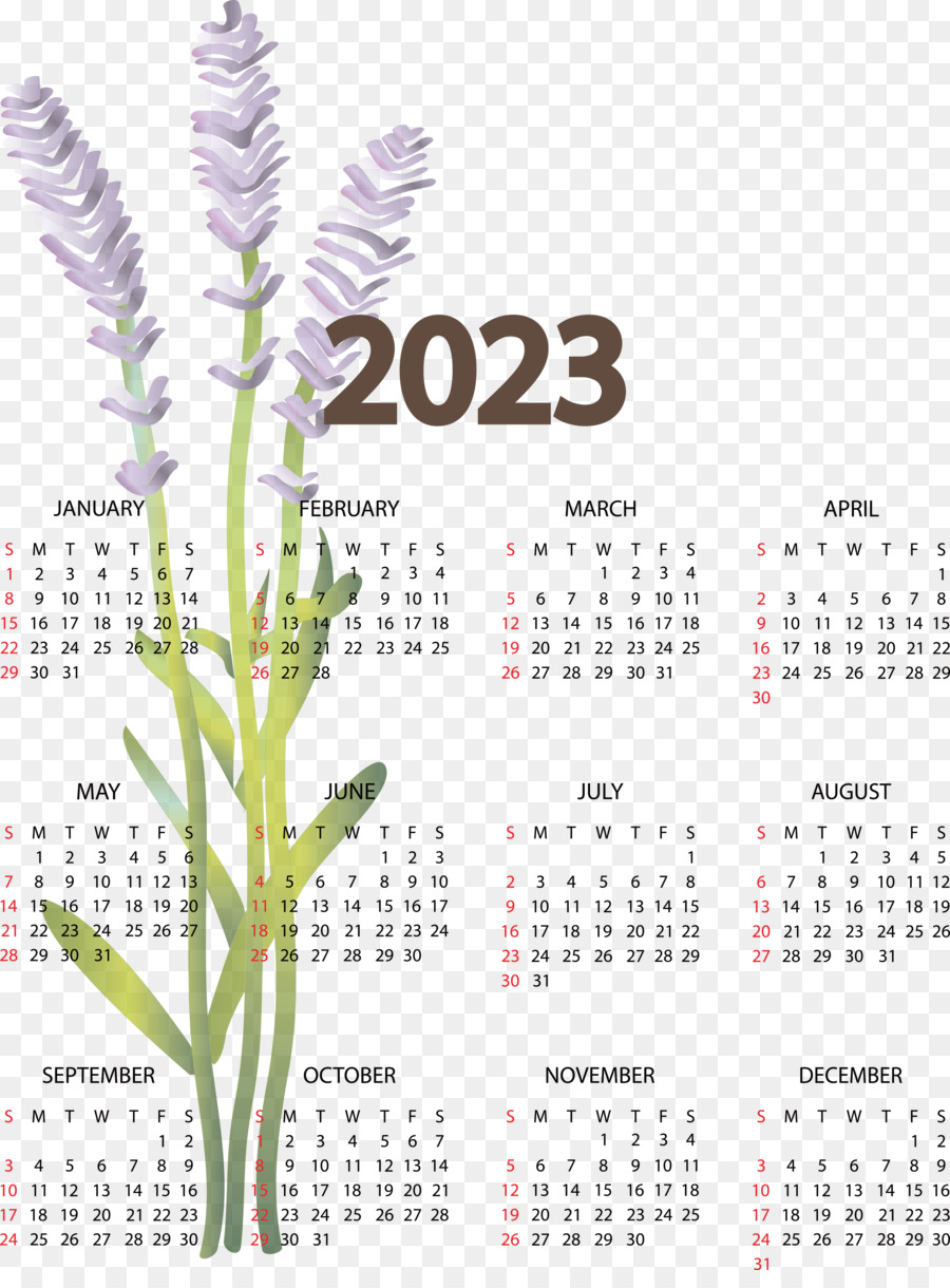 Calendario，Flor PNG