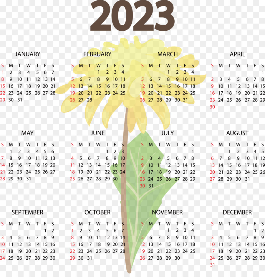 Calendario，Año Calendario PNG