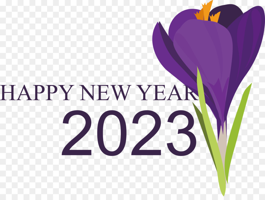 Feliz Año Nuevo 2023，Año Nuevo PNG