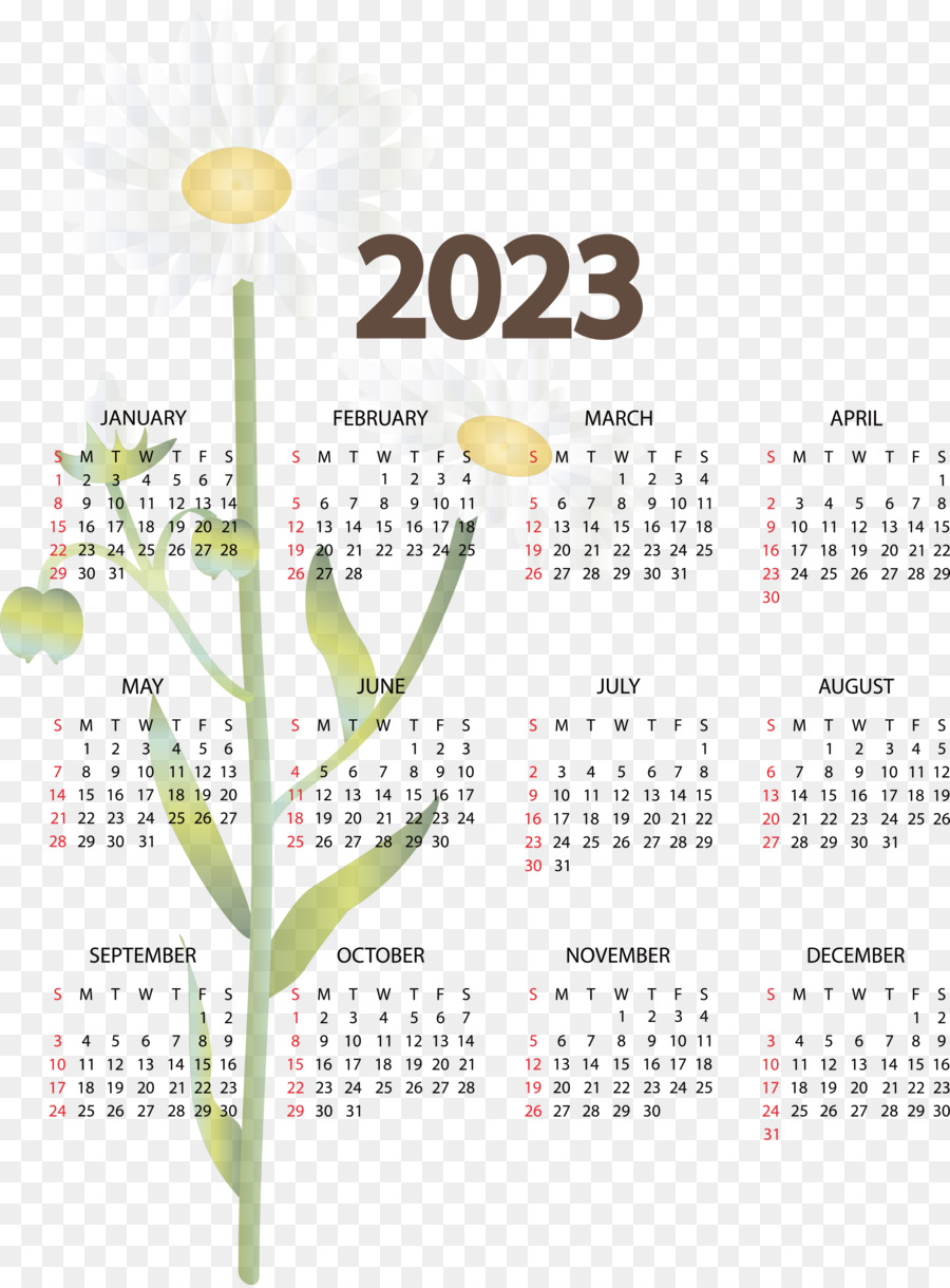 Calendario，Año Calendario PNG