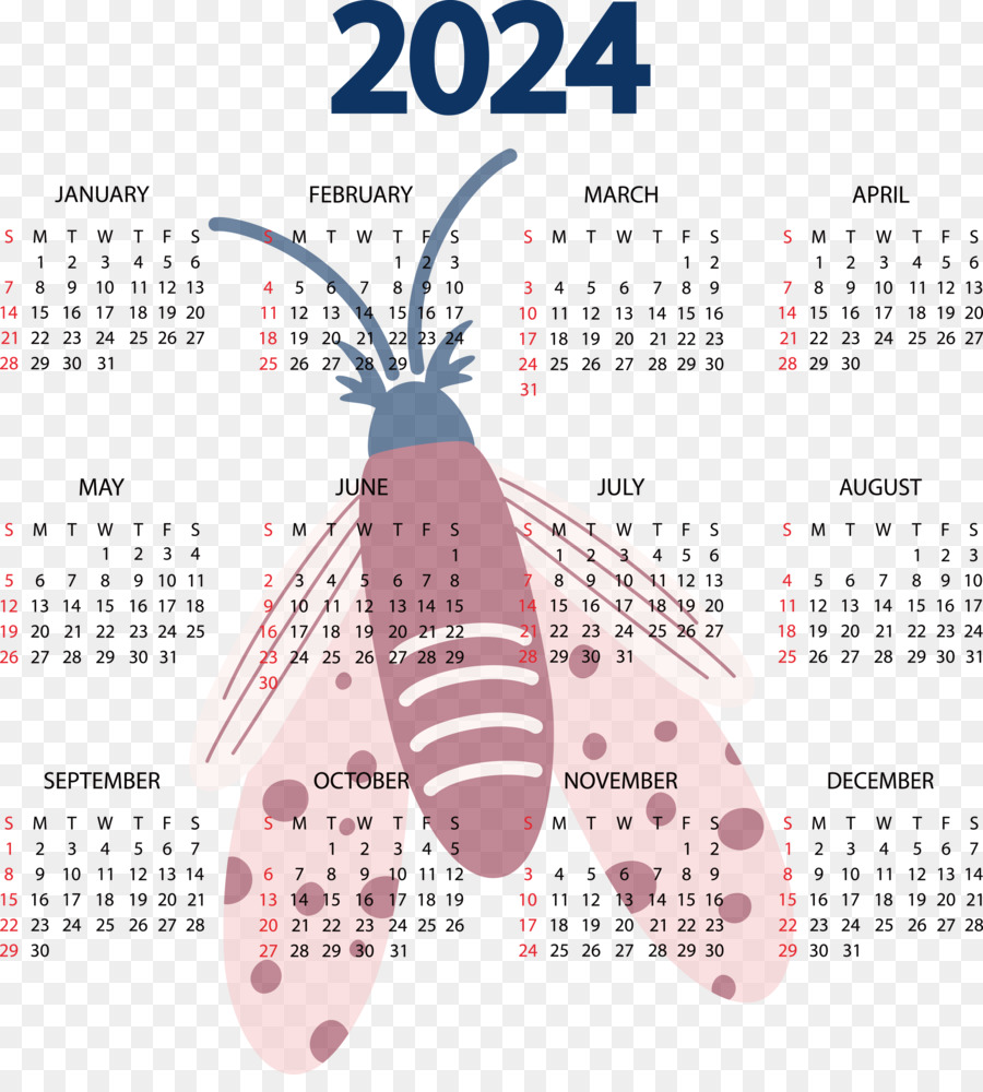 Calendario，Línea PNG