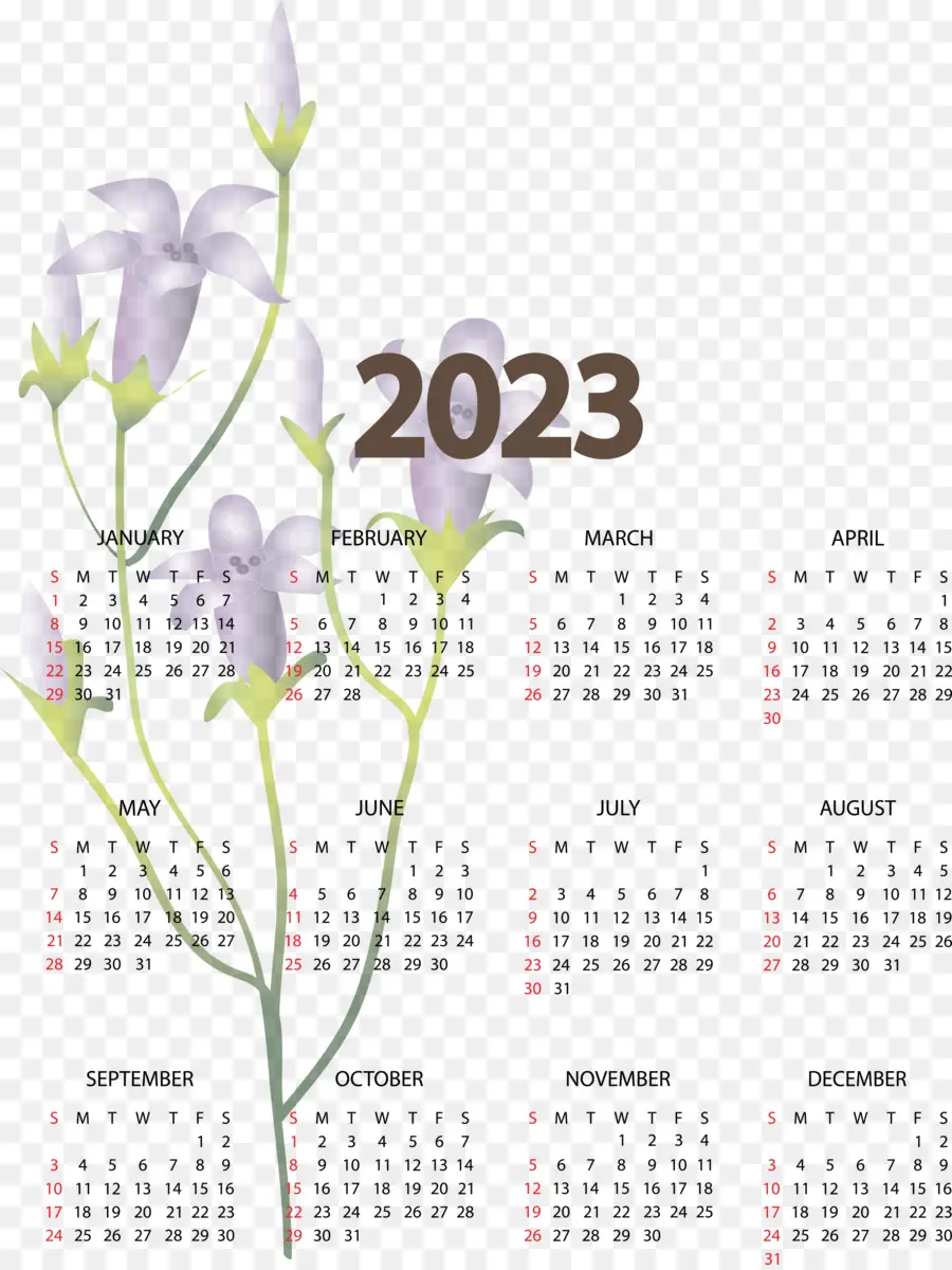 Calendario 2024，Anual PNG