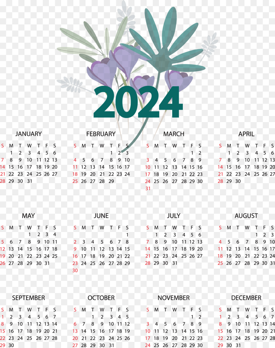 Calendario 2024，Calendario PNG