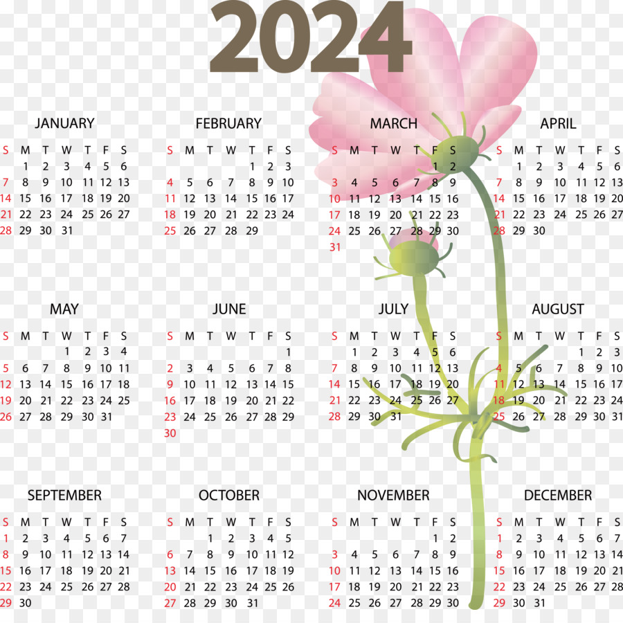 Calendario 2024，Año PNG