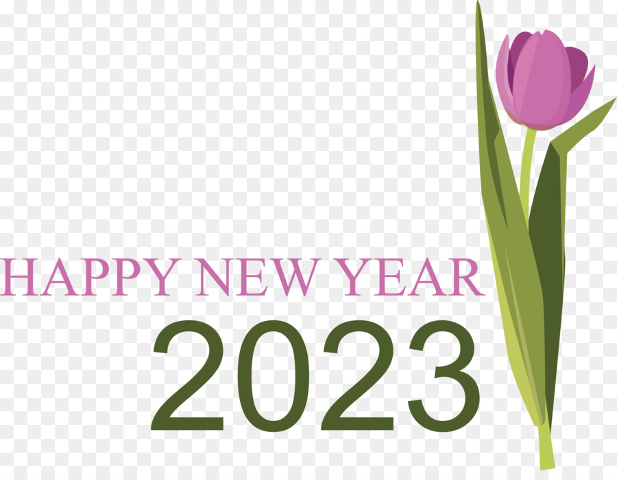 Feliz Año Nuevo 2023，Año Nuevo PNG