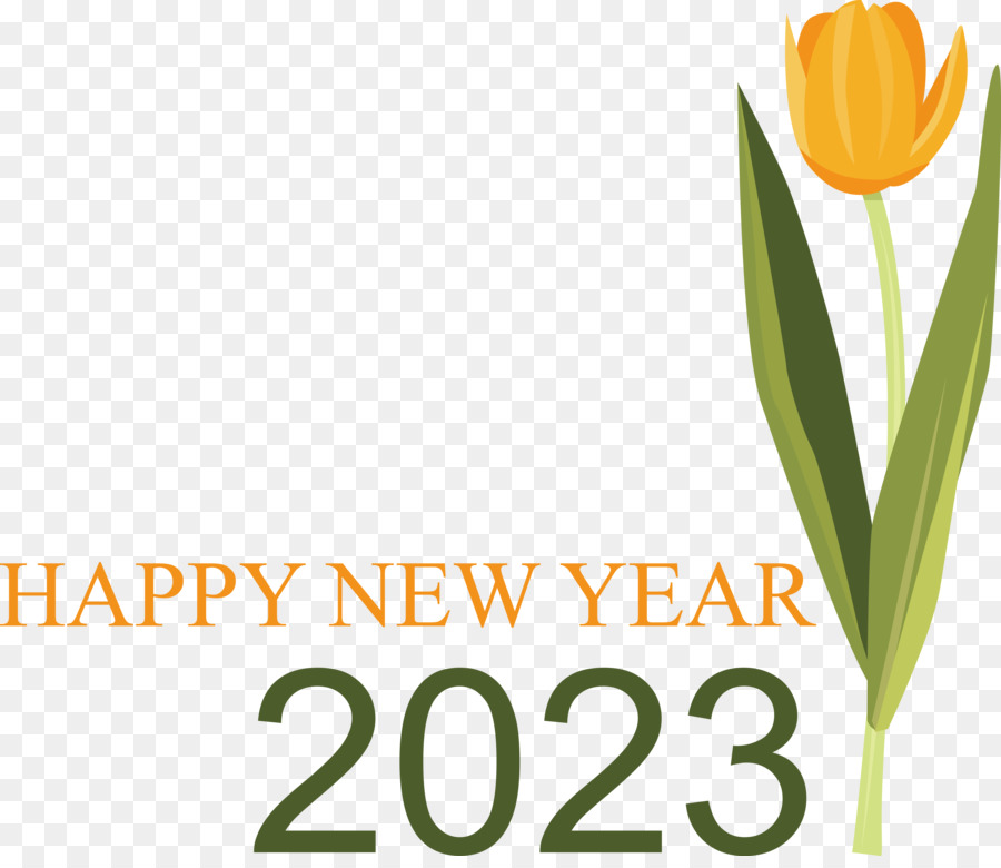 Feliz Año Nuevo 2023，Celebración PNG